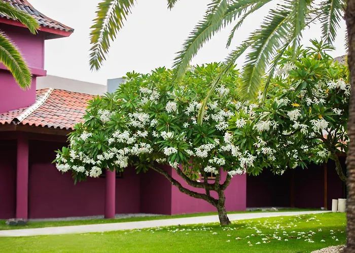 Caribe Deluxe Princess Punta Cana