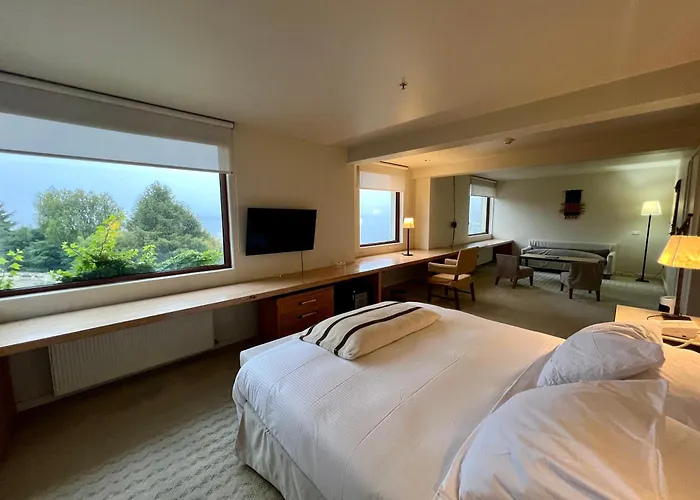 Hotel Patagonico Puerto Varas