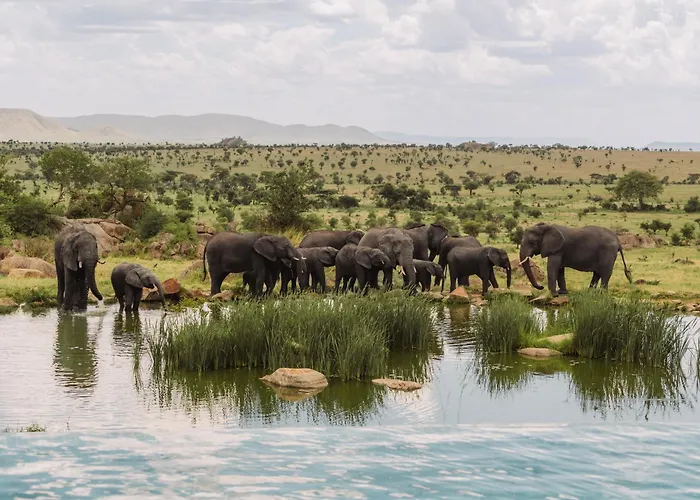 Four Seasons Safari Lodge Serengeti
